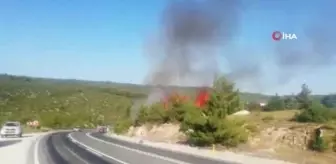 Bilecik'te ormanlık alanda yangın: 1 gözaltı