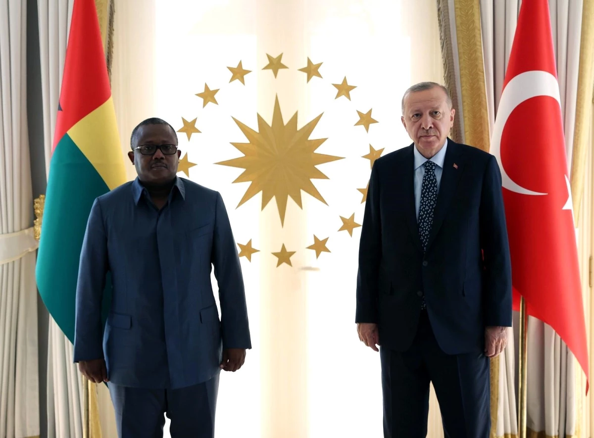 Cumhurbaşkanı Erdoğan, Gine Bissau Cumhurbaşkanı Cissoko Embalo\'yu kabul etti
