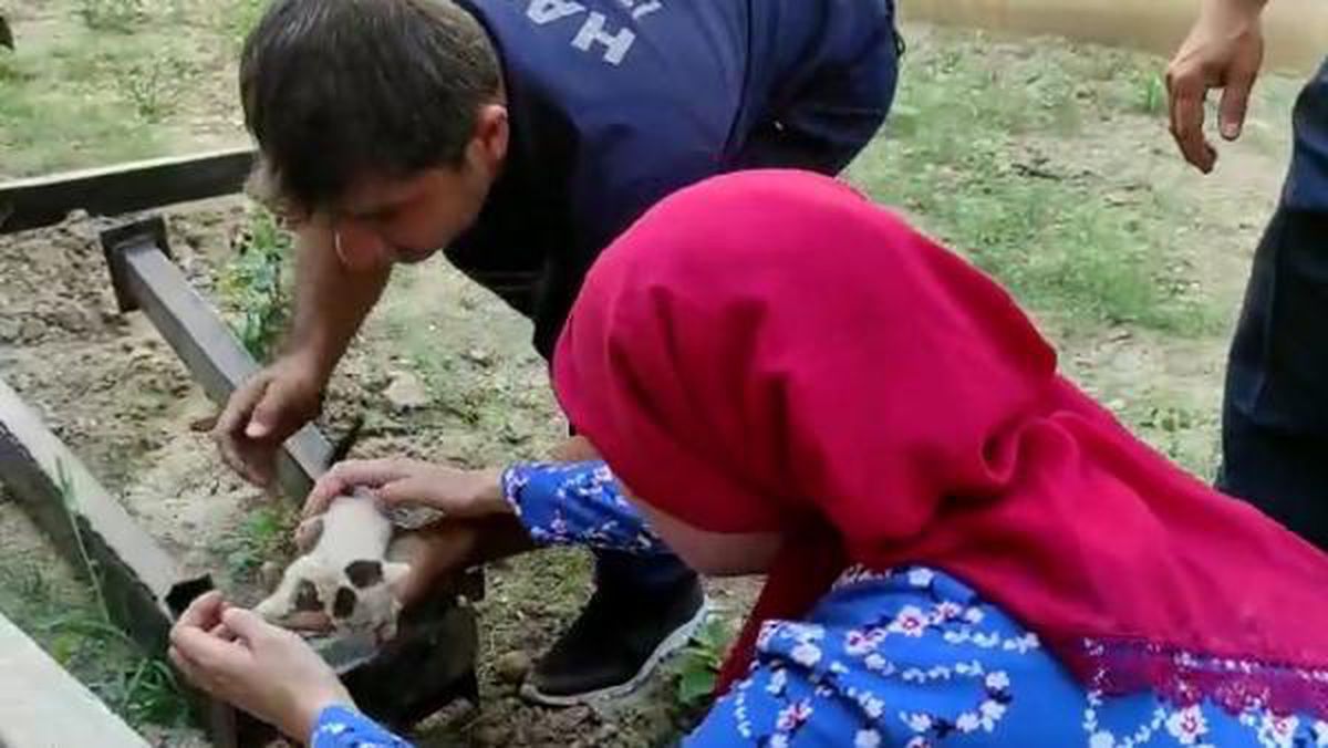 Demir profilde sıkışan yavru kedi kurtarıldı, annesi dişleriyle taşıdı