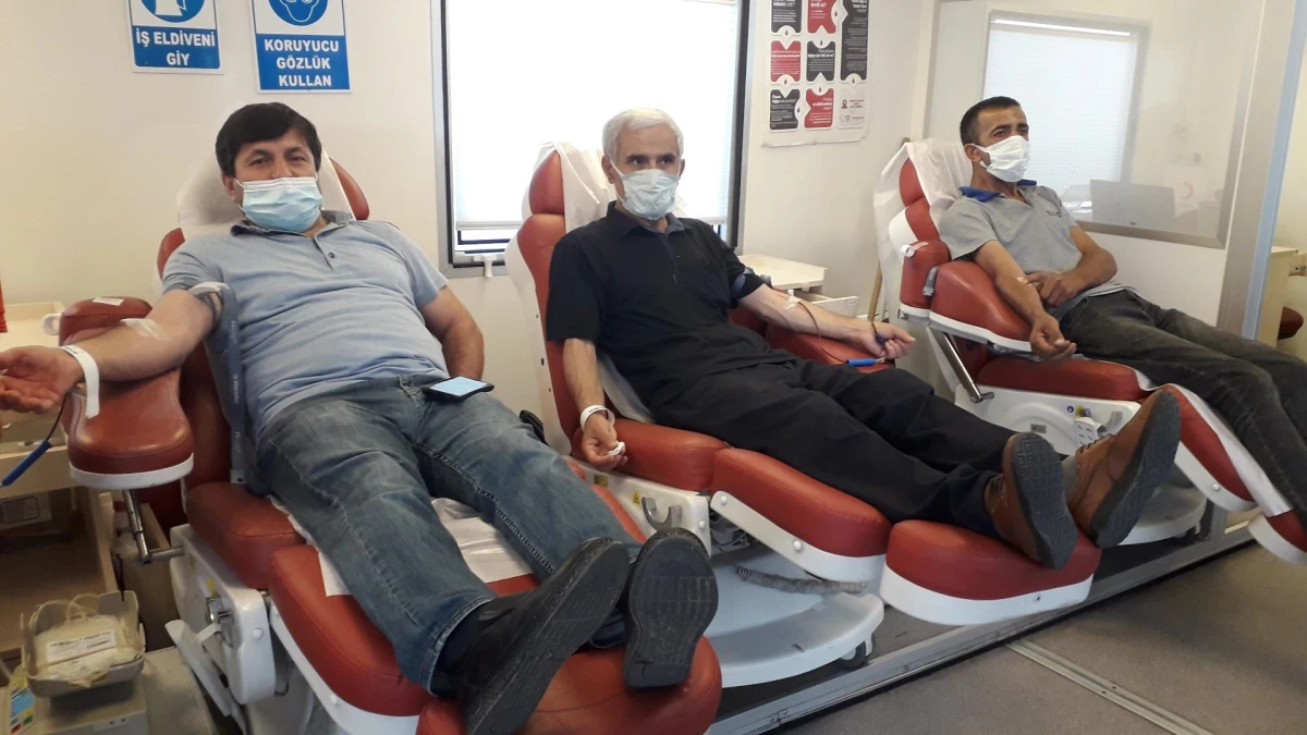 Doğankent\'te kan bağışı kampanyası düzenlendi