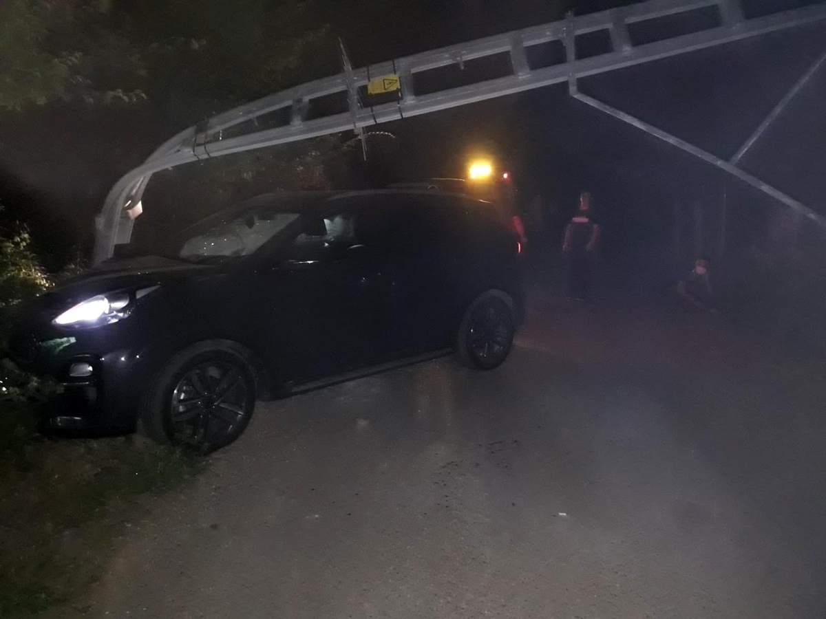 Domuza çarpmamak için direğe çarptı: 1 yaralı
