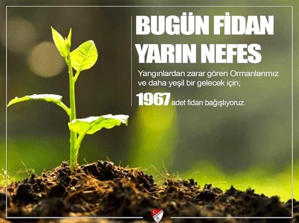 Elazığspor, 1967 fidan bağışlayacak