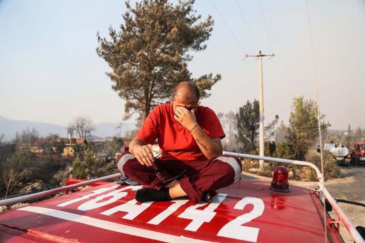 General Directorate of Forestry: 57 of 71 forest fires are under control