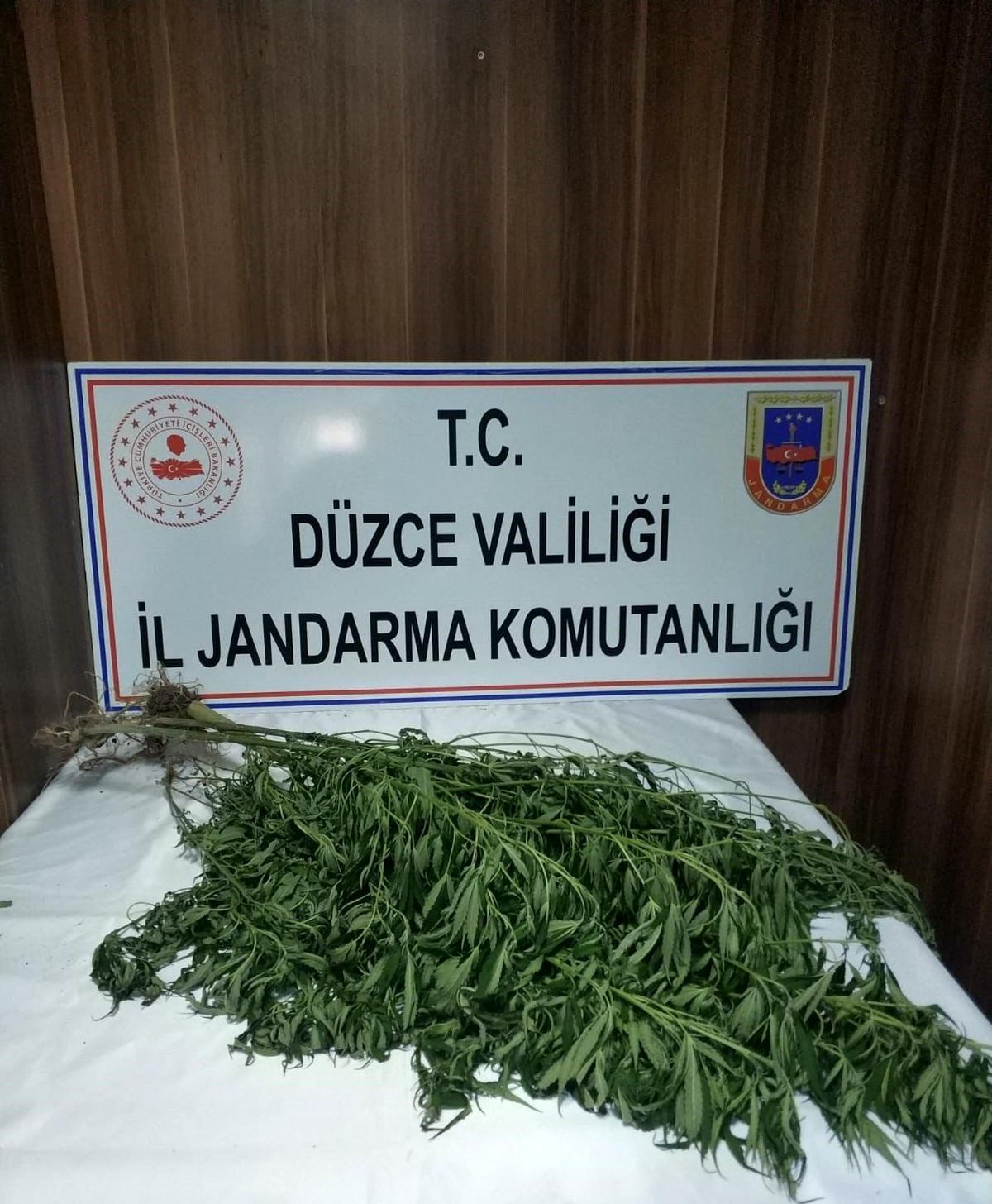 Jandarmadan uyuşturucu operasyonu