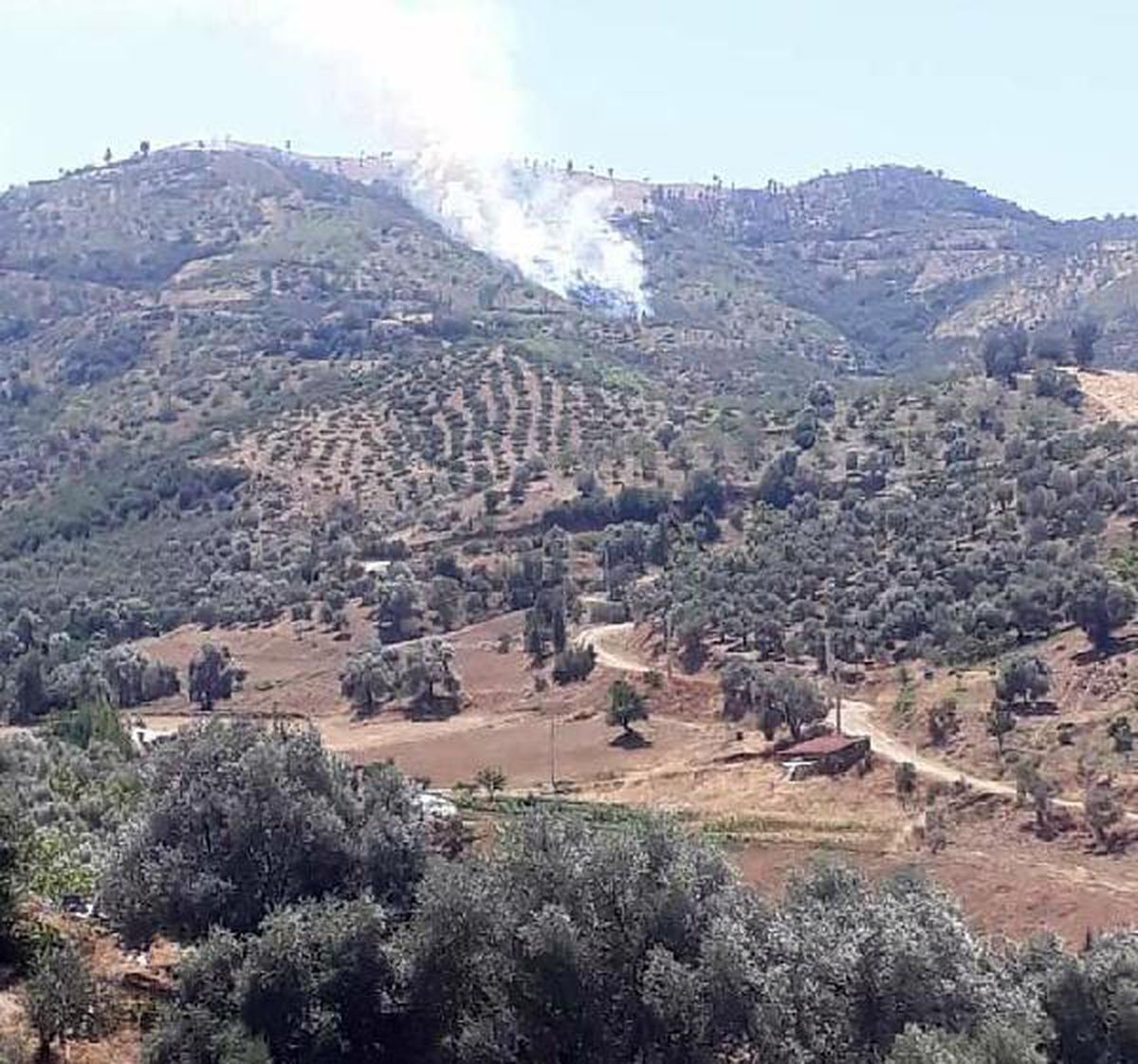 Son dakika haberleri | Kiraz\'da orman yangını çıktı (1)