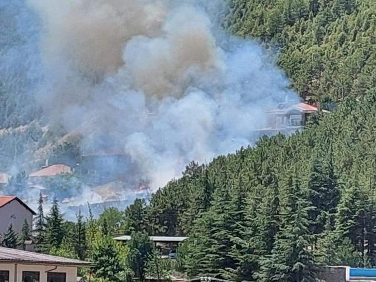 Son dakika haberi... Konya\'da yangın, ormanlık alana sıçramadan söndürüldü