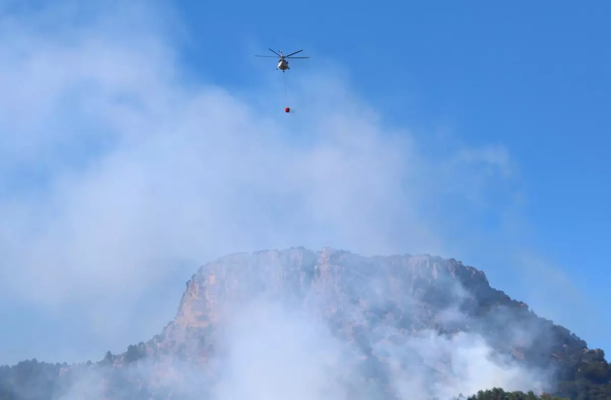 Son dakika haberleri | Kozan\'da orman yangını devam ediyor, havadan müdahale başladı
