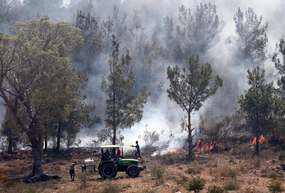 Mersin Silifke\'deki orman yangınına müdahale sürüyor