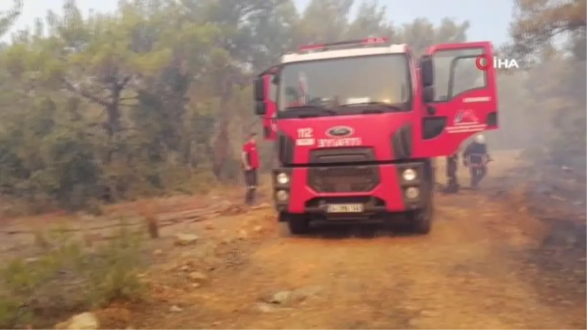 Mezarlık yandı, şehidin mezarı ve bayrak sapasağlam kaldı