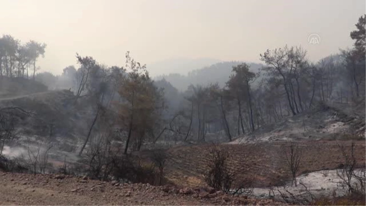 Son dakika haberi: Osmaniye\'deki orman yangınına müdahale ediliyor