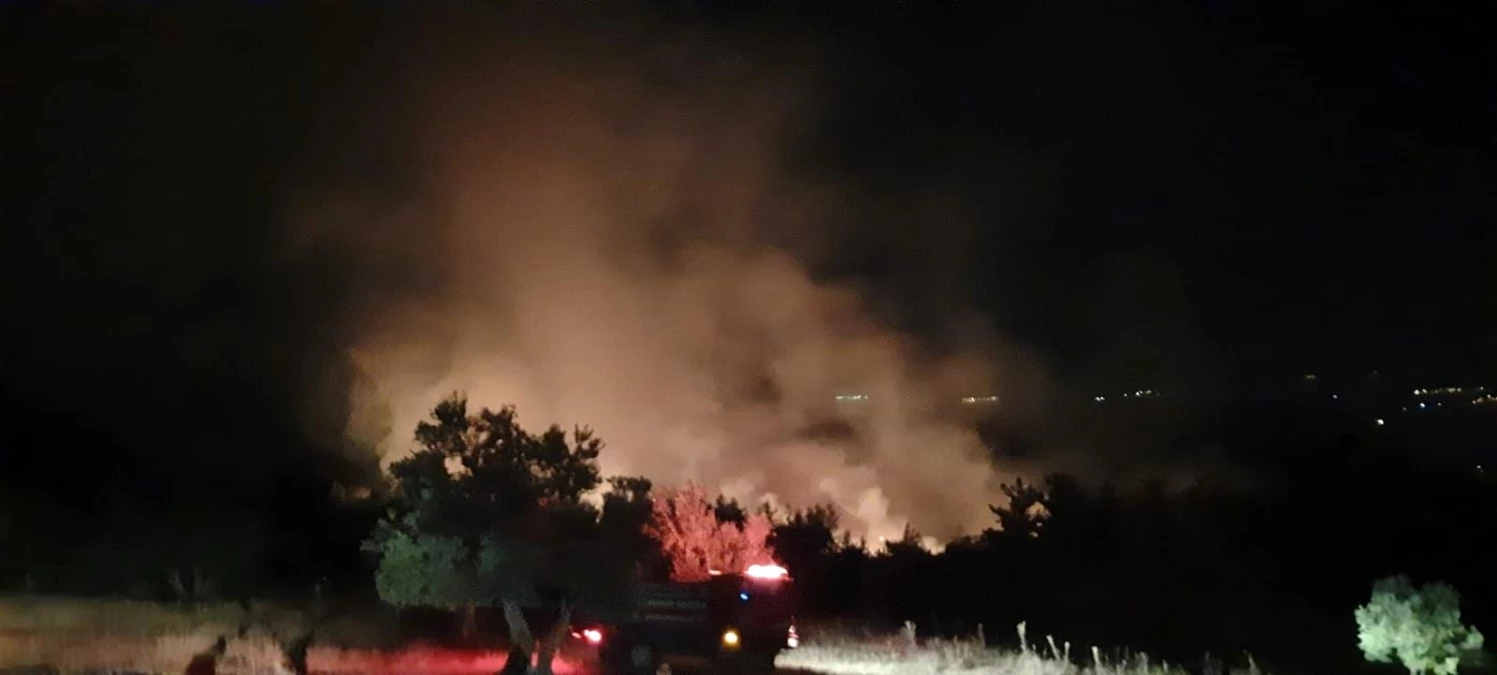 Soma\'daki orman yangını kontrol altına alındı