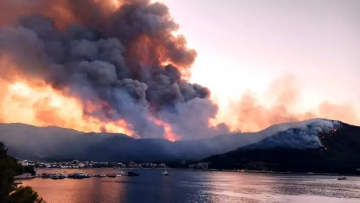 Son Dakika! Milas ve Bodrum ilçelerindeki yangınlar kontrol altına alındı