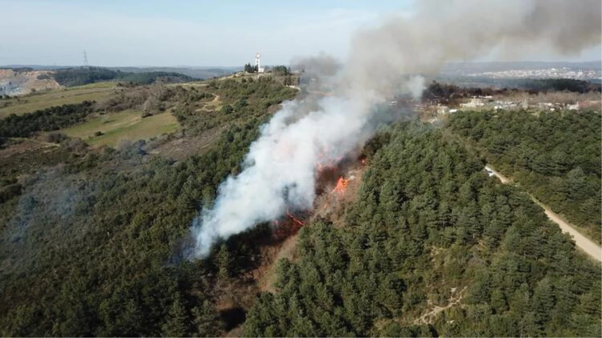 Son Dakika! Yangınla mücadele kapsamında İstanbul genelinde ormanlara giriş 1 ay yasaklandı