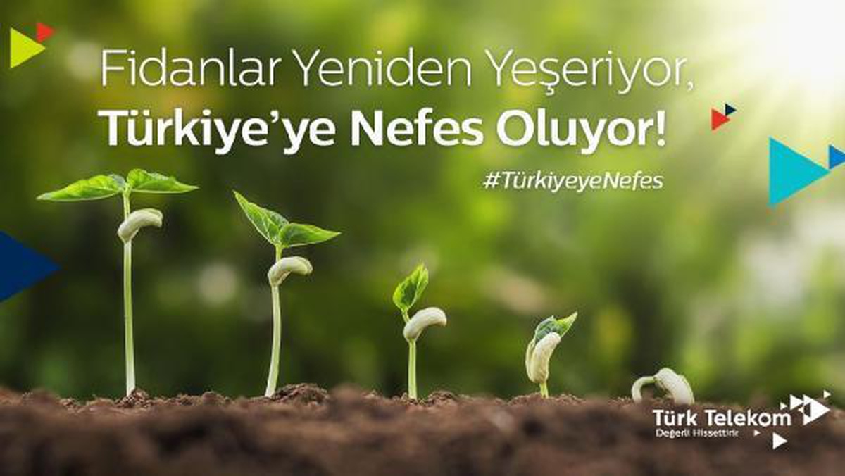 Türk Telekom\'dan yangın bölgesine 100 bin fidan bağışı