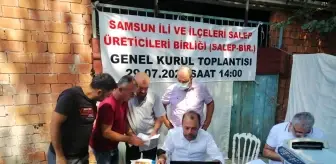 Türkiye'de ilk defa Salep Üreticileri Birliği Samsun'da kuruldu