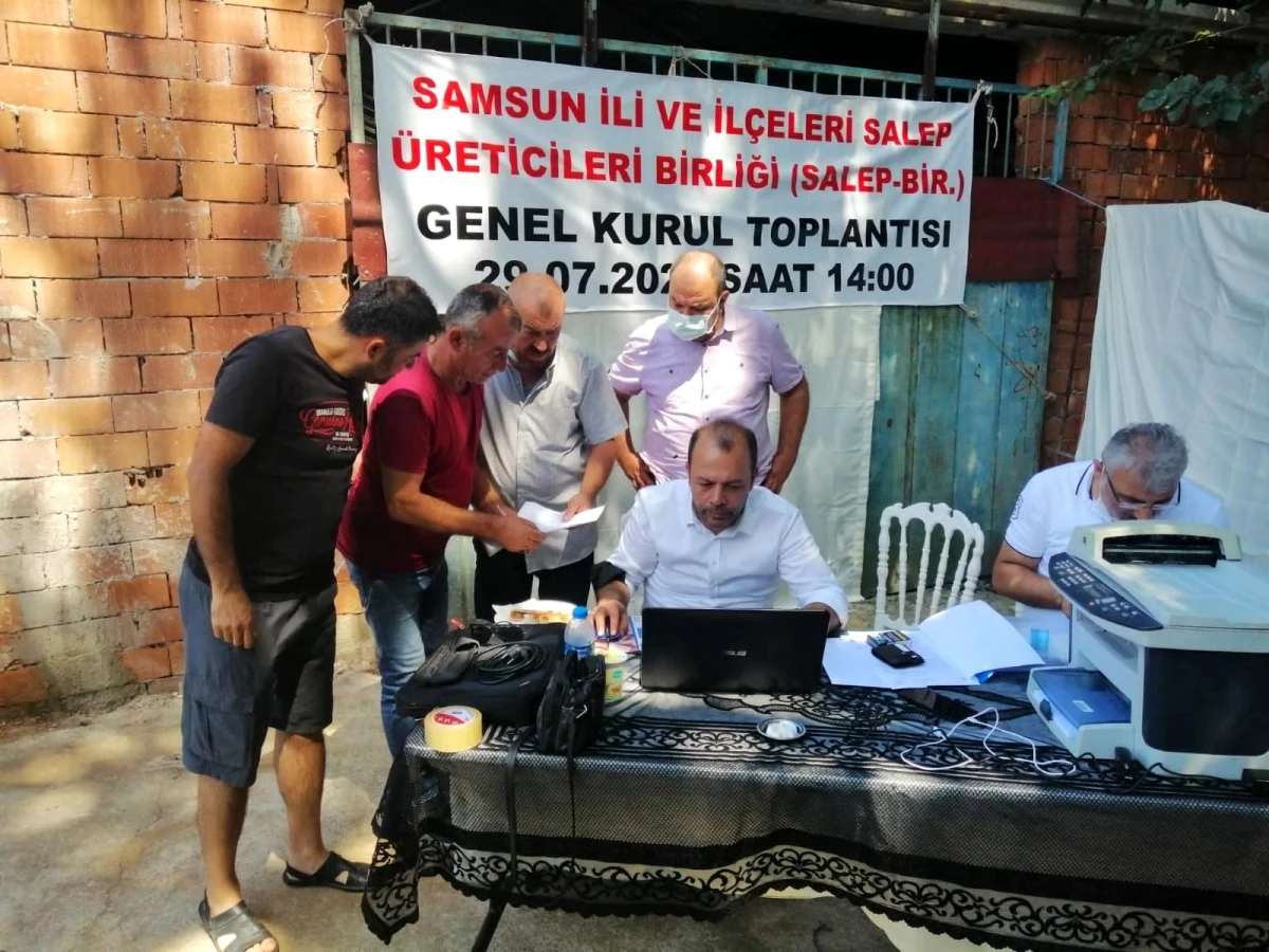 Türkiye\'de ilk defa Salep Üreticileri Birliği Samsun\'da kuruldu