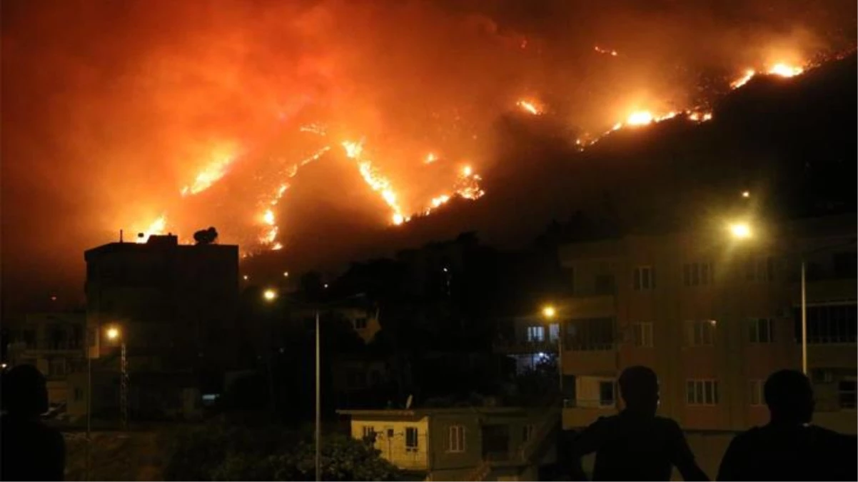 Türkiye\'yi alev topuna çeviren bu yangınlar nereden çıktı? Uzmanlar iki ihtimal üzerinde duruyor: İklim krizi ve sabotaj