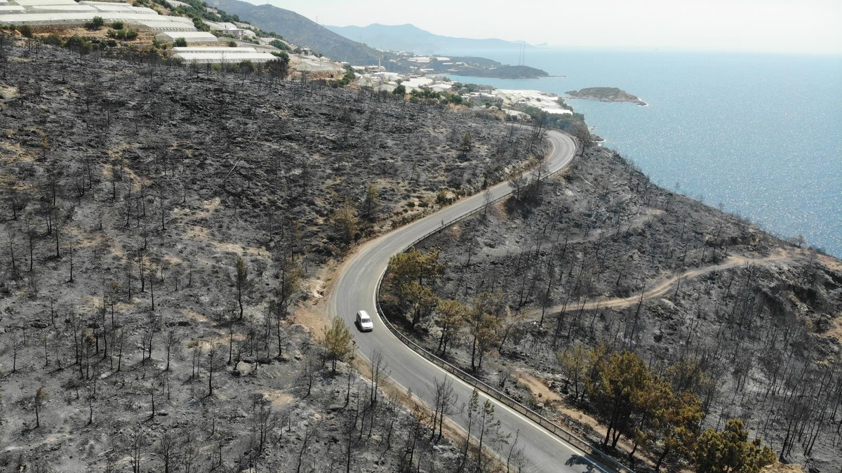 Yanan bölgeler drone ile havadan görüntülendi