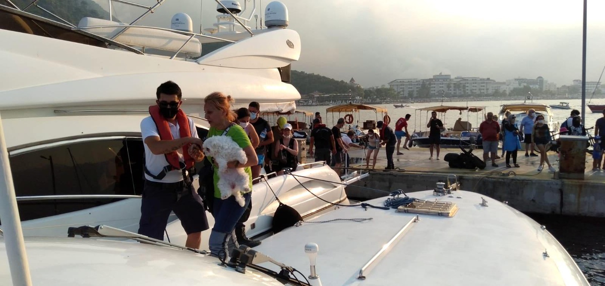 Son dakika haberi | Yangından etkilenen mahallelerde tahliye işlemi sürüyor