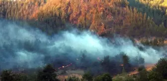 Adana'daki orman yangınları 4'üncü günde kısmen kontrol altında