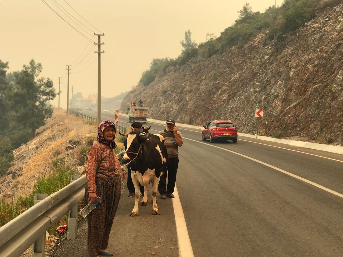 Manavgat\'taki büyük yangın 4\'üncü gününde; 2 orman işçisi yaşamını yitirdi (4)