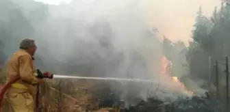 Arazözde can veren orman işçisinin oğlu: Bilerek yapanlara Allah cezasını versin (2)