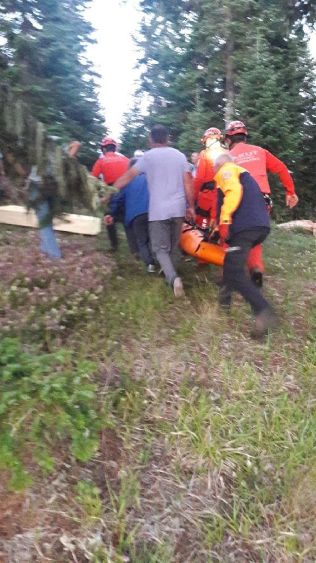 Son dakika haber... Artvin\'de uçuruma düşen kadın hayatını kaybetti