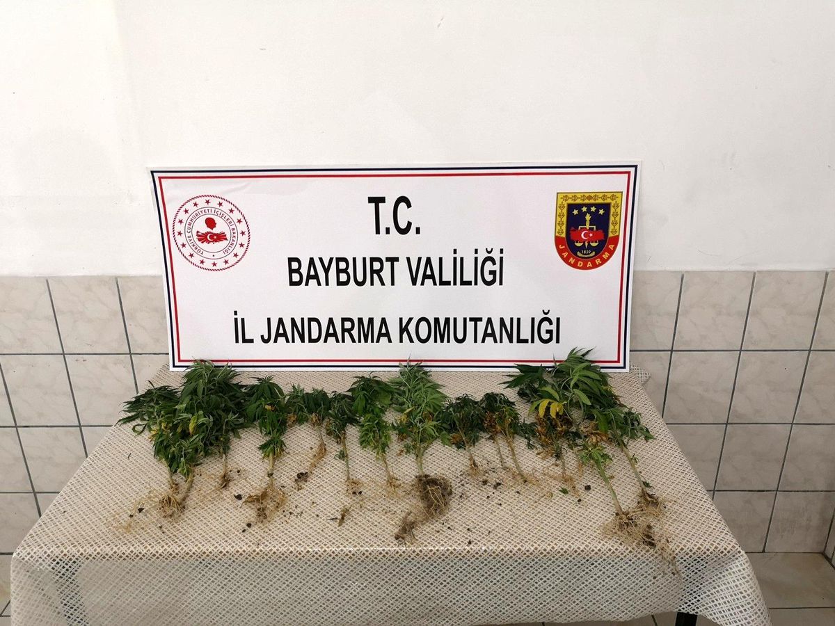 Bayburt\'ta bir miktar kenevir ve tabanca ele geçirildi