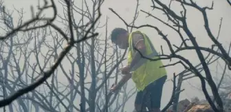 Son dakika haberi... Bodrum'da makilik yangını (4)