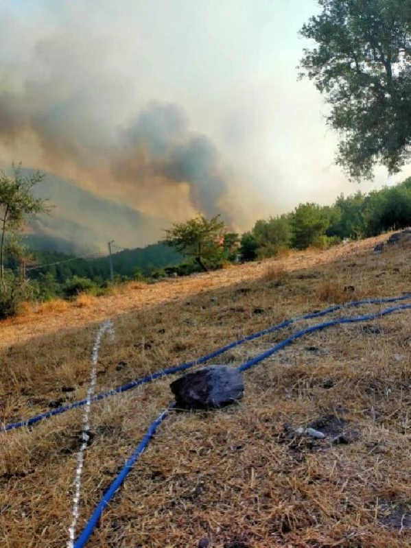 Bodrum'da makilik yangını (5)