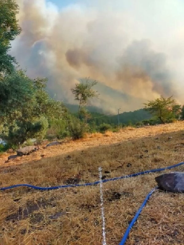 Bodrum'da makilik yangını (5)