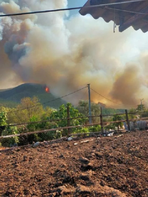 Bodrum'da makilik yangını (5)