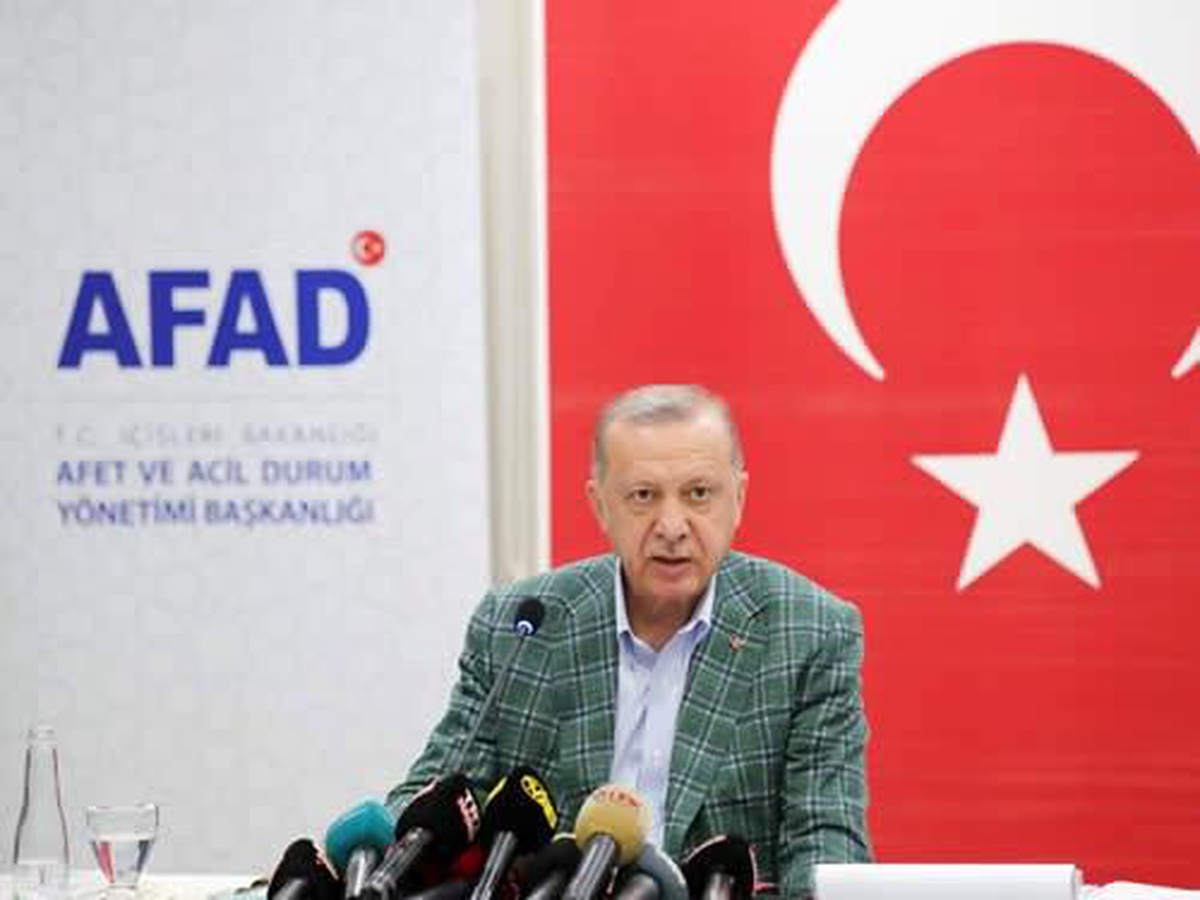 Son dakika: Cumhurbaşkanı Erdoğan: "Ormanlarımızı yakanları bulup ciğerlerini yakmak boynumuzun borcudur"
