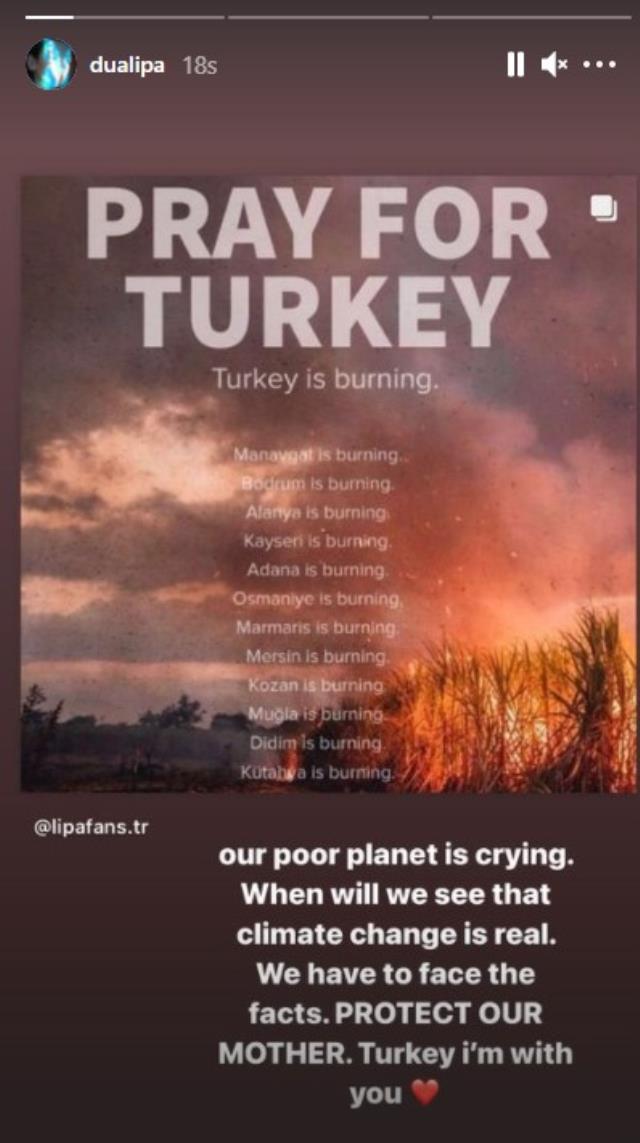 فنانون أجانب يتضامنون مع تركيا ضد الحرائق