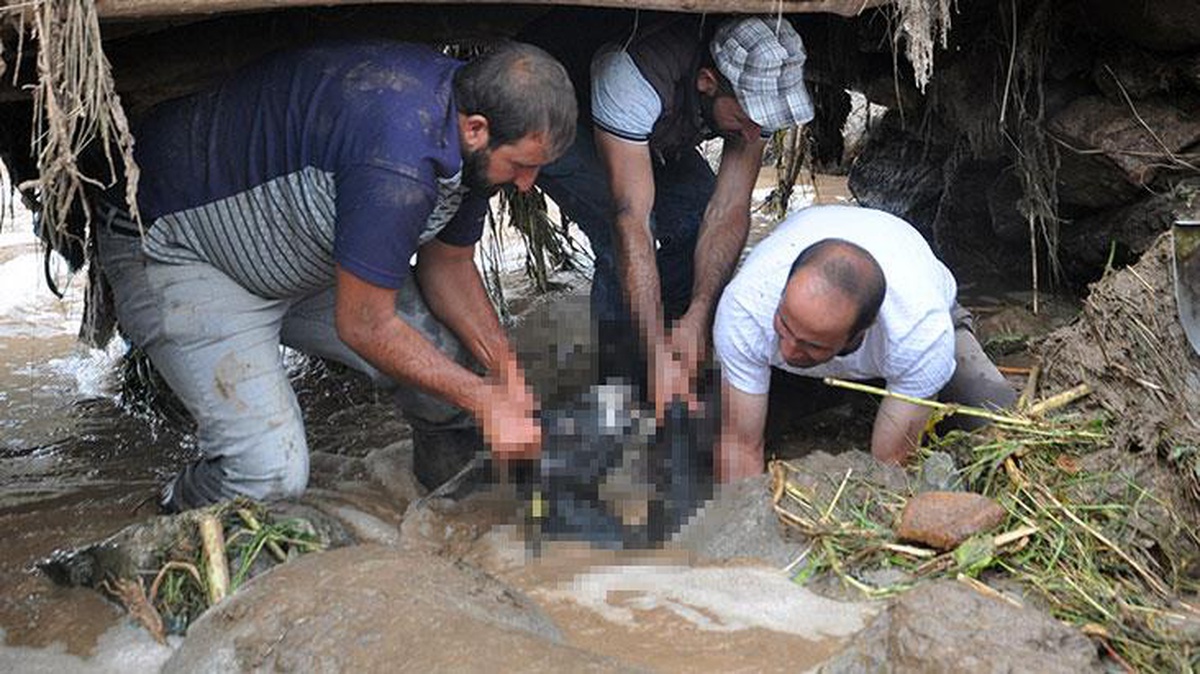 Felaketler bitmiyor! Aşırı yağışlar koyunları telef etti, toprak altında kalanlar da var