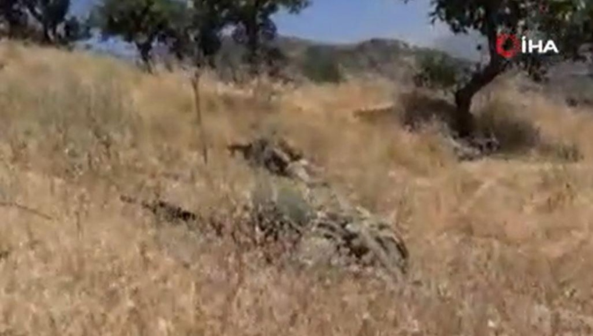 "Fırat Kalkanı bölgesine saldırı hazırlığındaki 2 PKK/YPG\'li terörist etkisiz hale getirildi"