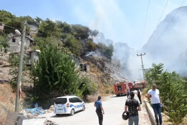 Hatay'da orman yangını (2)