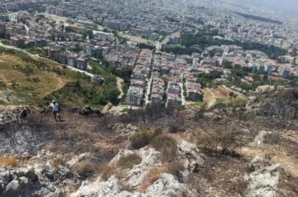 Hatay'da orman yangını (2)