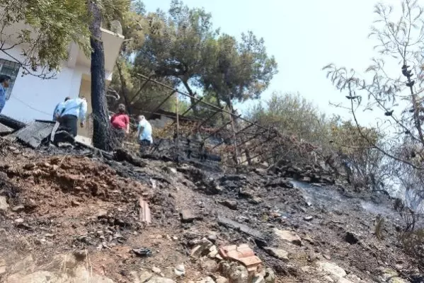 Hatay'da orman yangını (2)