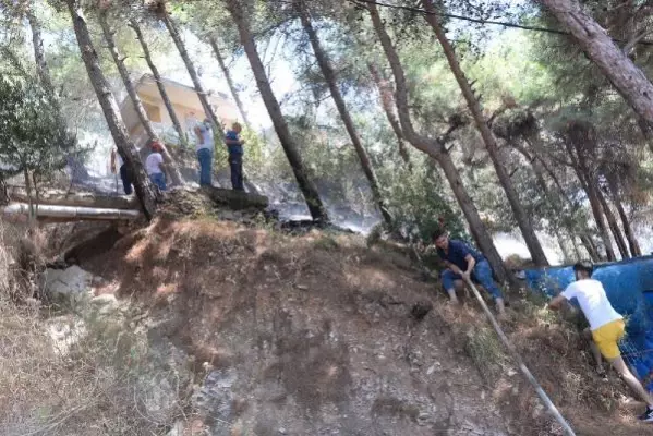 Hatay'da orman yangını (2)