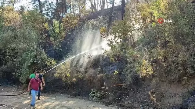 Hatay'da orman yangını kontrol altına alındı