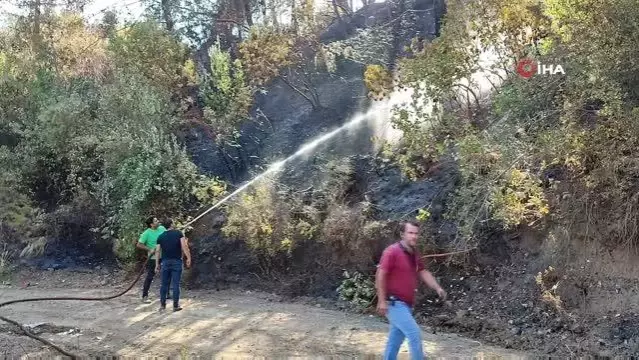 Hatay'da orman yangını kontrol altına alındı