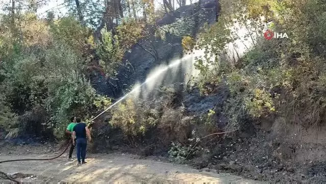 Hatay'da orman yangını kontrol altına alındı