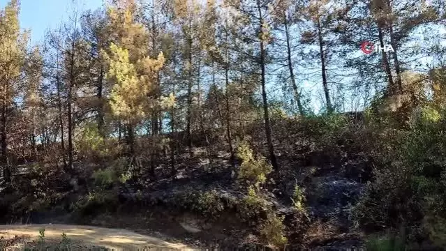 Hatay'da orman yangını kontrol altına alındı