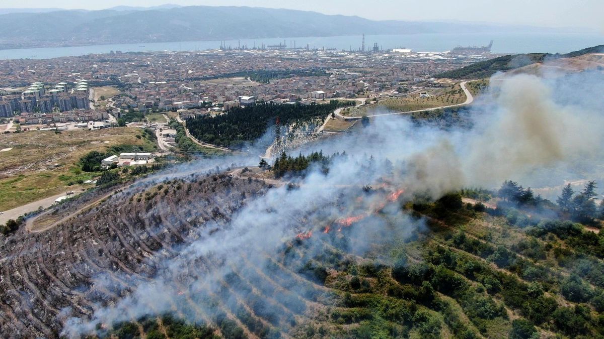 Kocaeli\'de orman yangınlarını önlemek için bir yasak daha geldi