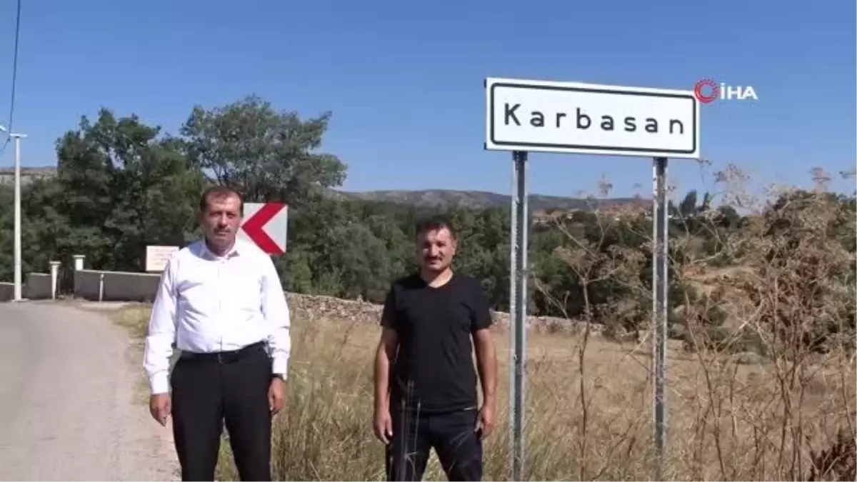 Kütahya\'da Adaçayı hasadı başladı