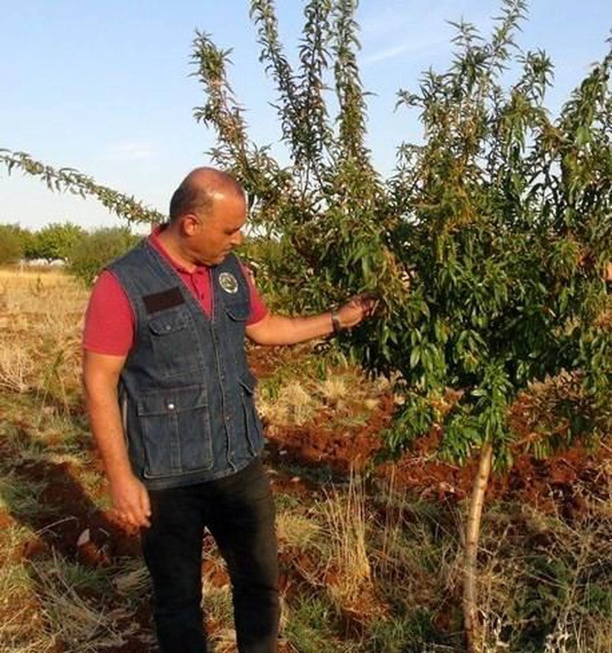 Malatya\'da piknik yapanlara yangın uyarısı