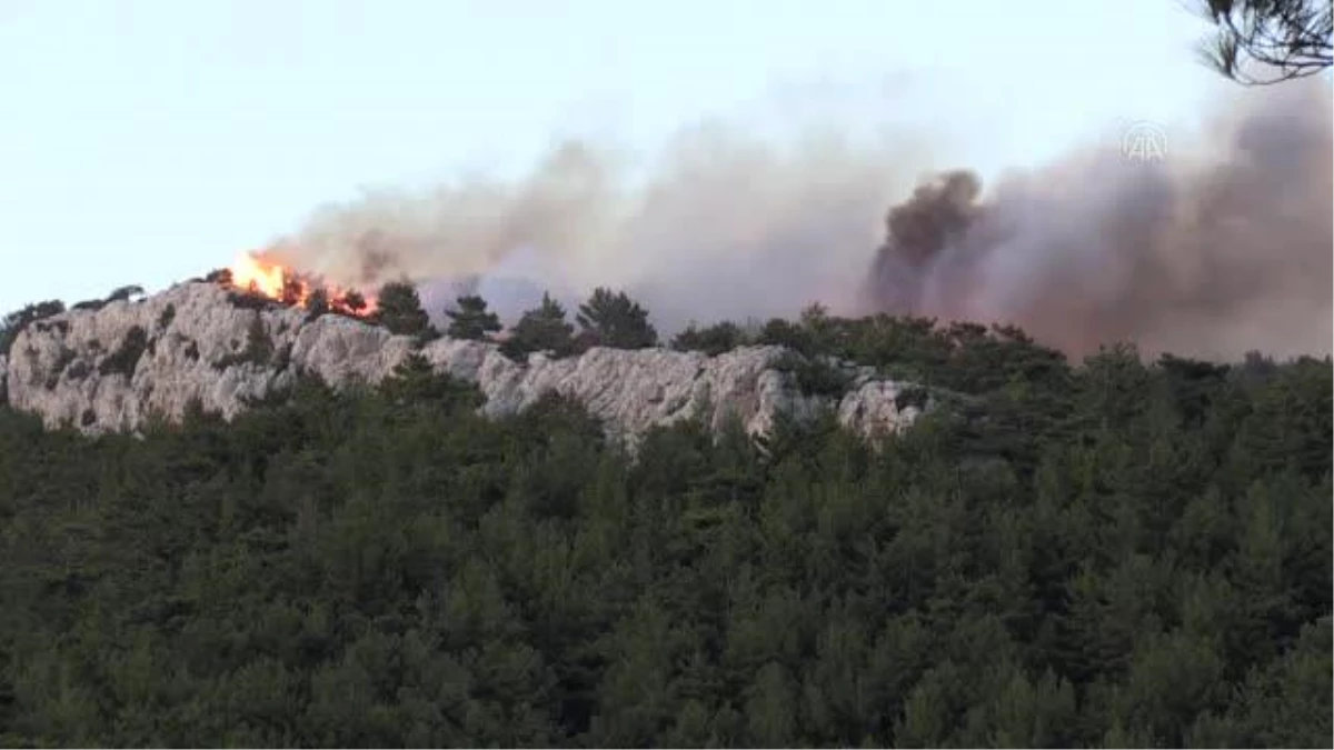Silifke\'deki orman yangınını söndürme çalışmaları devam ediyor