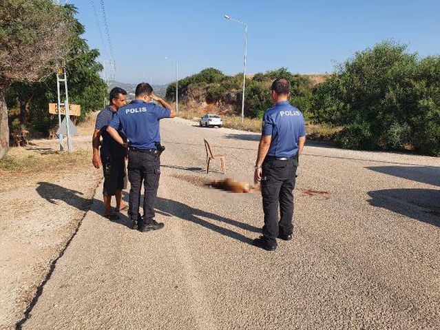 Sokak köpeğini av tüfeğiyle vurup öldürdü