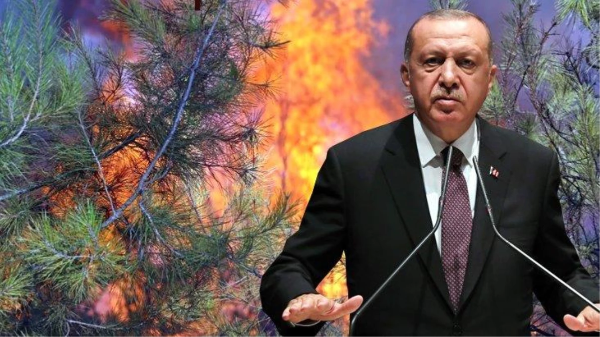 Son Dakika: Cumhurbaşkanı Erdoğan yangın bölgesine gidiyor! Manavgat ve Marmaris\'te incelemelerde bulunacak